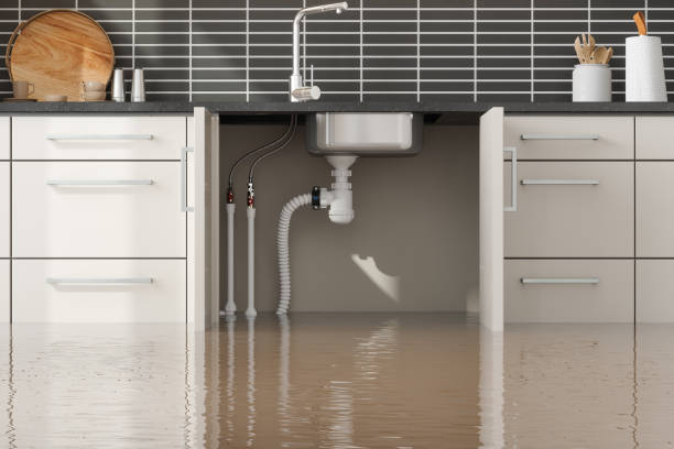 Best Storm and Flood Water Damage Restoration in USA